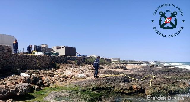FASANO: Ricci di mare lavati con acqua di mare non idonea, sequestri, sanzioni e denuncia.