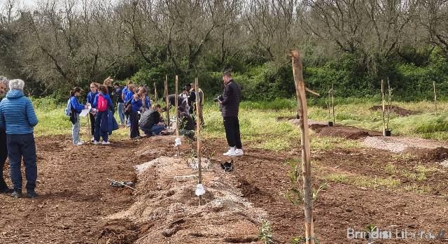 CON TEDX LECCE 2025 PIANTATI 1000 ULIVI RESISTENTI ALLA XYLELLA NEL CUORE DEL SALENTO