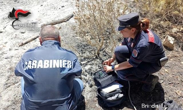 Ceglie Messapica (BR): appicca il fuoco a sterpaglie ed ulivi davanti ai turisti, arrestato in flagranza dai Carabinieri.