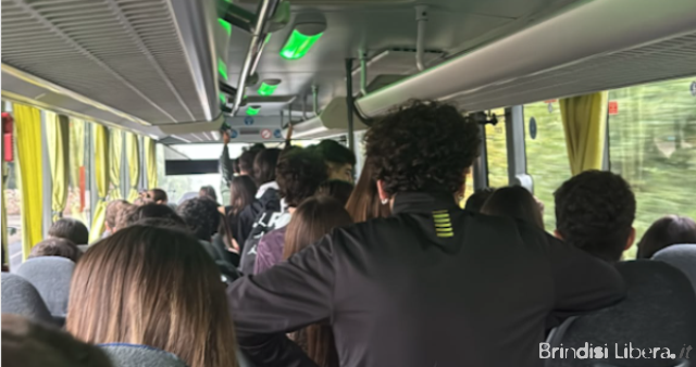 Trasporti, Caroli (FdI): Caos sui bus Ceglie Messapica–Ostuni. Gravi disagi per gli studenti, Fse adegui il servizio alle esigenze reali