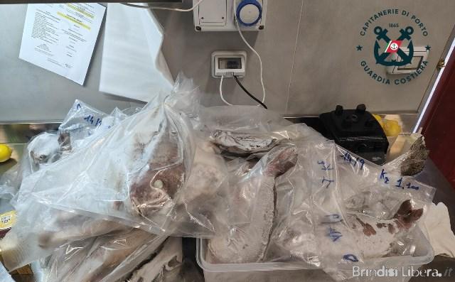 BRINDISI: Sequestrato circa un quintale di pescato congelato presso un ristorante della litoranea brindisina e comminata una sanzione di 2.000 euro per violazioni delle procedure HACCP..