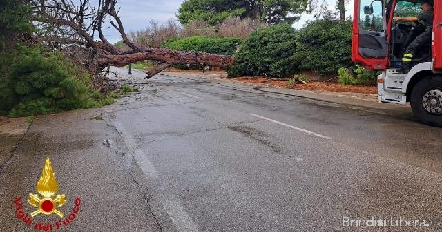 Maltempo, città allagata: Vigili del Fuoco al lavoro senza sosta dalla notte